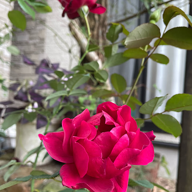 natsumiさんの部屋