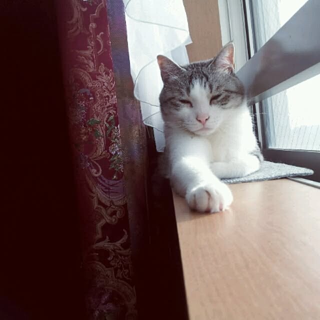 emmyyさんの実例写真