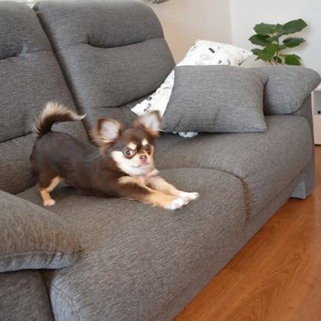 mikaymyhさんの実例写真