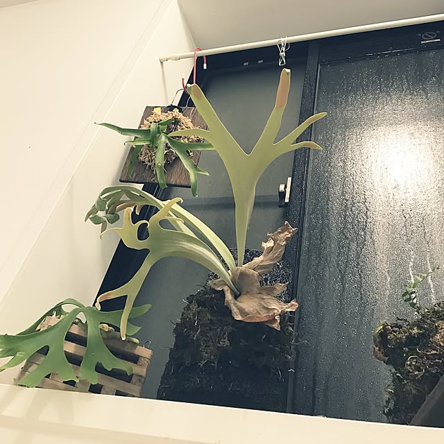 MiRiderさんの実例写真