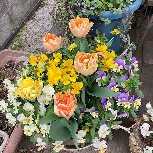 amiromikaさんの実例写真