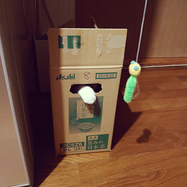 fukuさんの実例写真