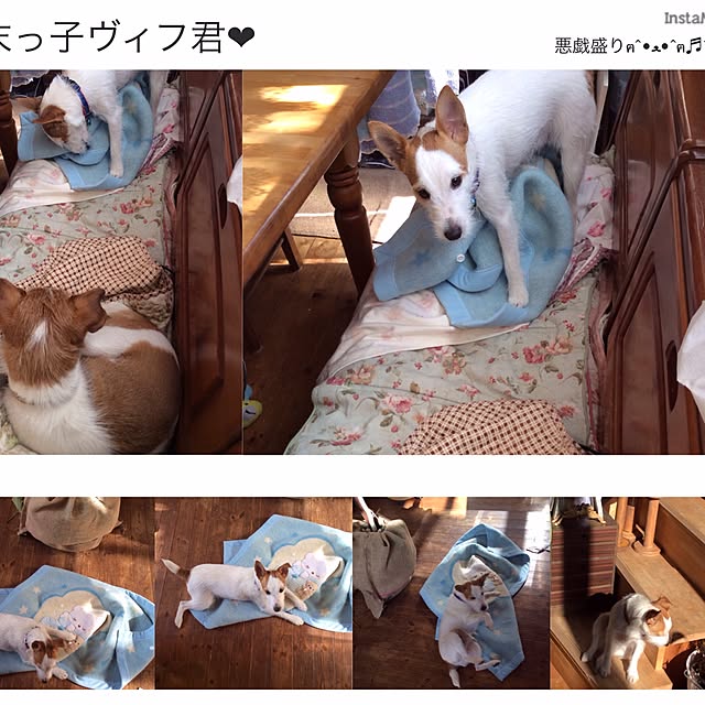 20rose_mamiさんの実例写真