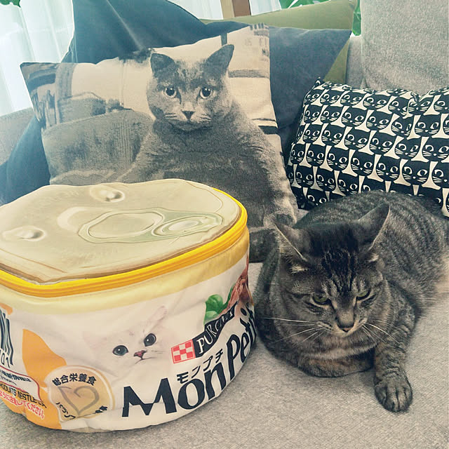 miumiuさんの実例写真
