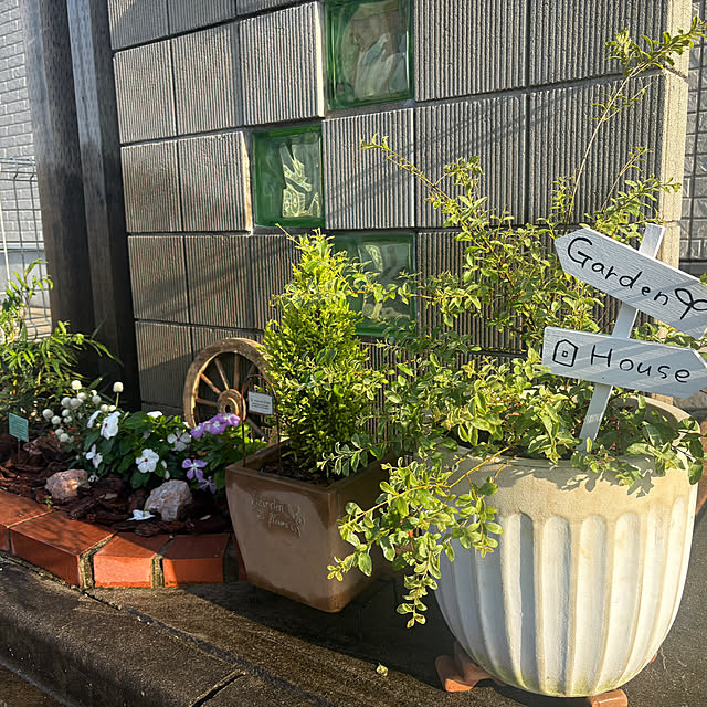 Haruさんの部屋