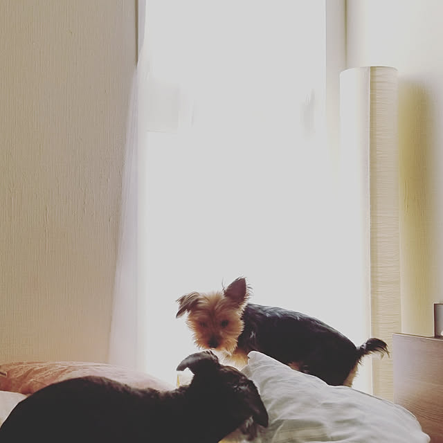 keikomokonさんの実例写真