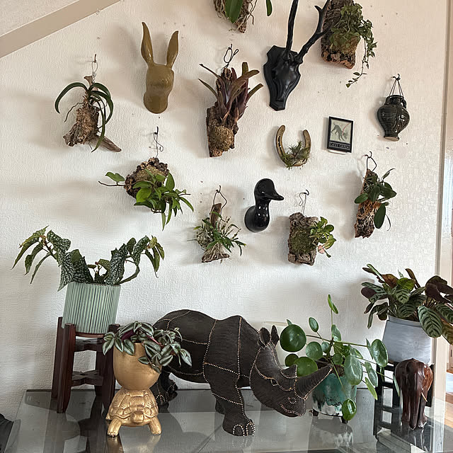 rieさんの実例写真