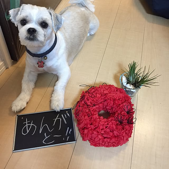 emiさんの実例写真