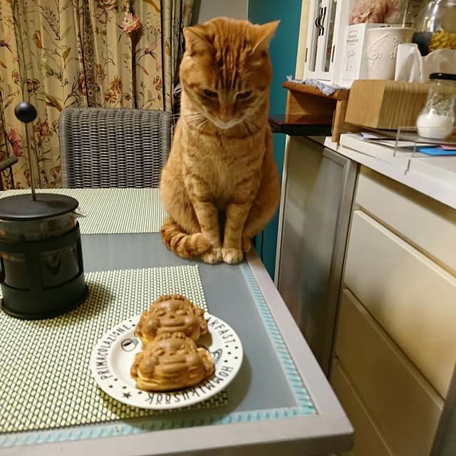 okyosan101さんの実例写真