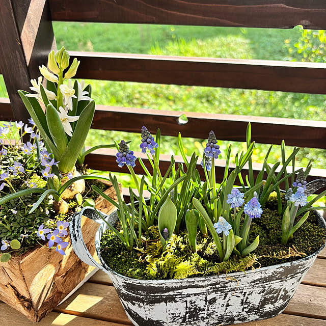 kyoko1124koさんの実例写真