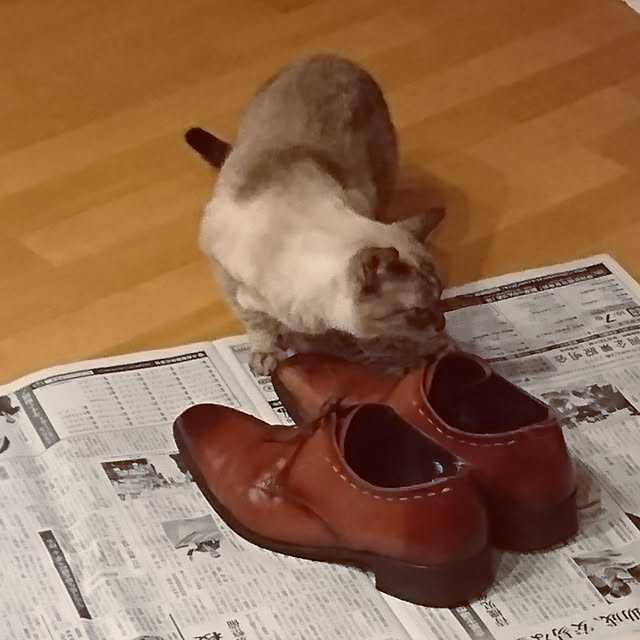 bonobono54さんの実例写真