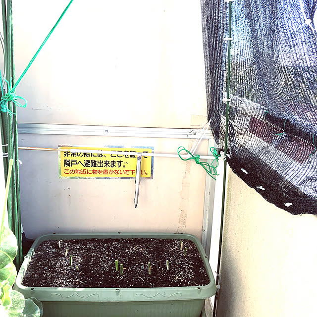 hanachanさんの部屋