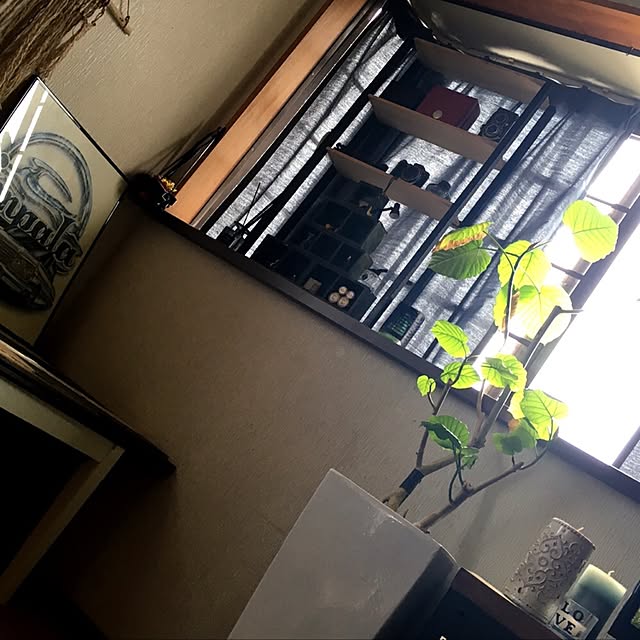 maamiさんの実例写真