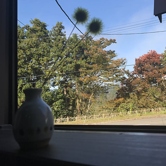 Miriさんの実例写真