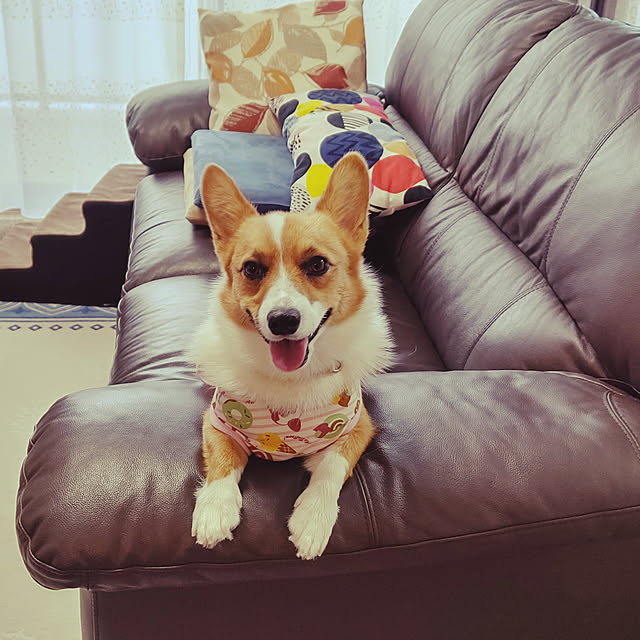 megusuke39さんの実例写真