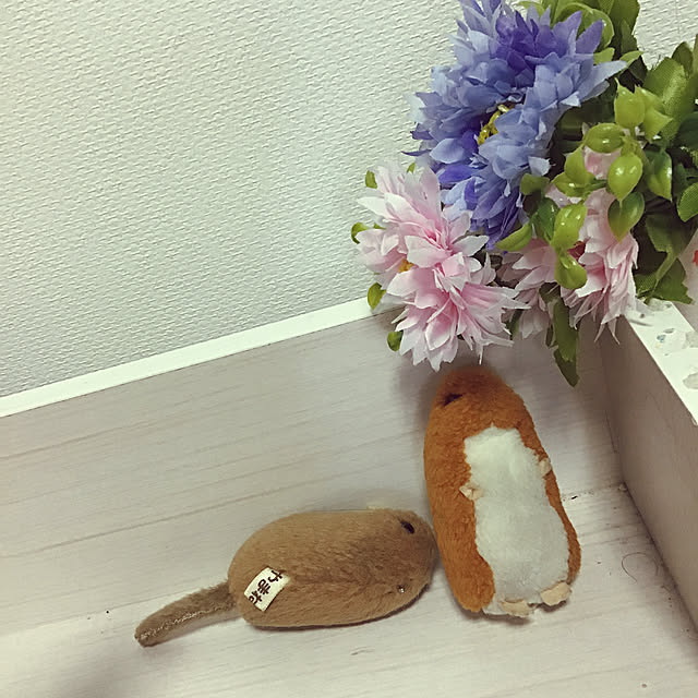 onyomoさんの実例写真