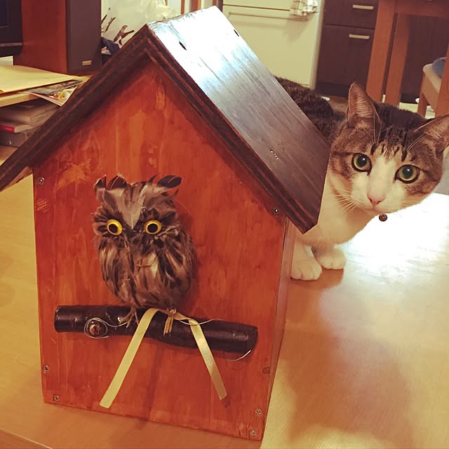 takuyamonth0429さんの実例写真