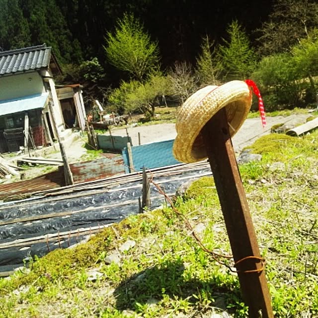 mitubati_a-ya.さんの実例写真