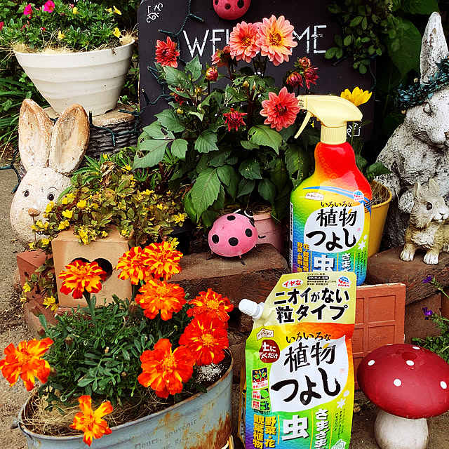 taeさんの部屋
