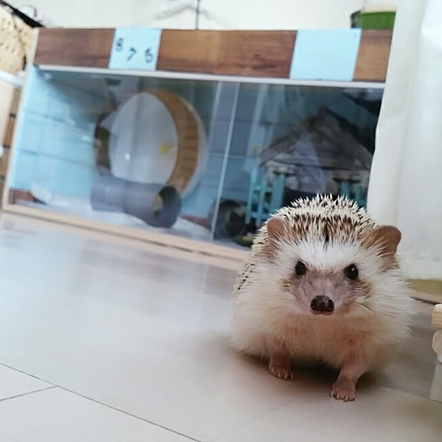 kuruさんの実例写真