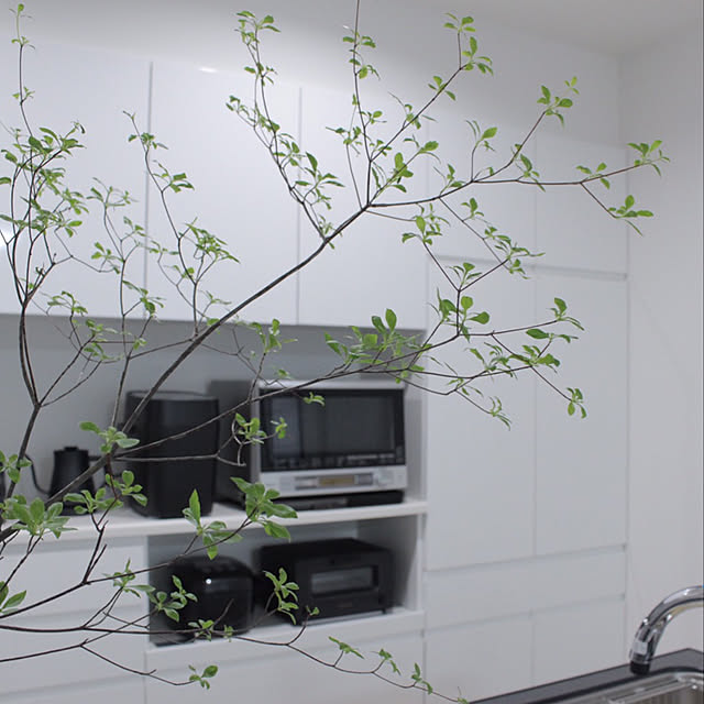 キッチン/北欧/モノトーン/観葉植物のインテリア実例 - 2019-07-11 15:59:58