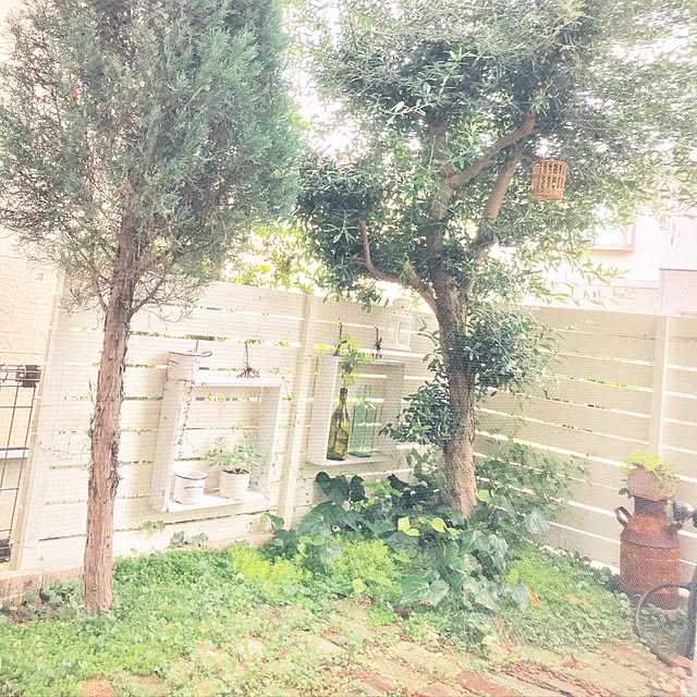 kazuさんの実例写真