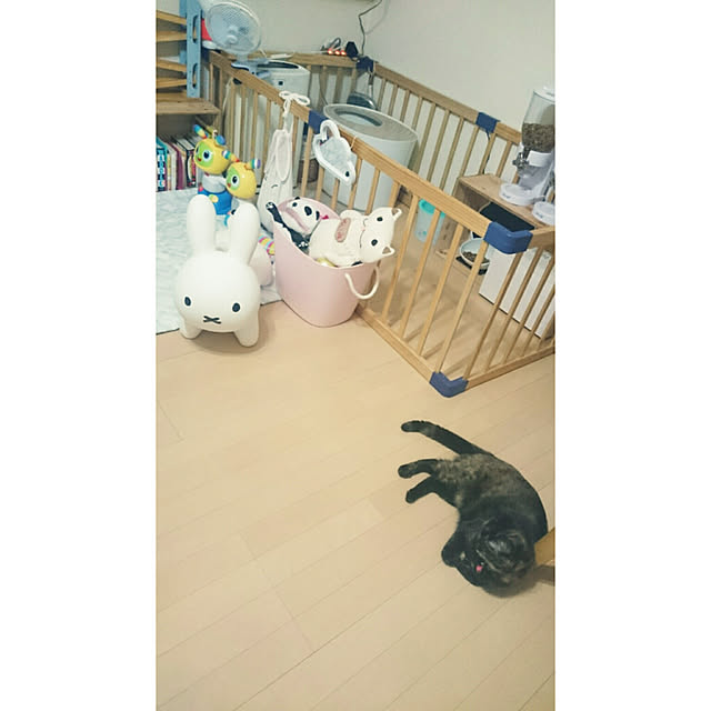 nanoさんの実例写真
