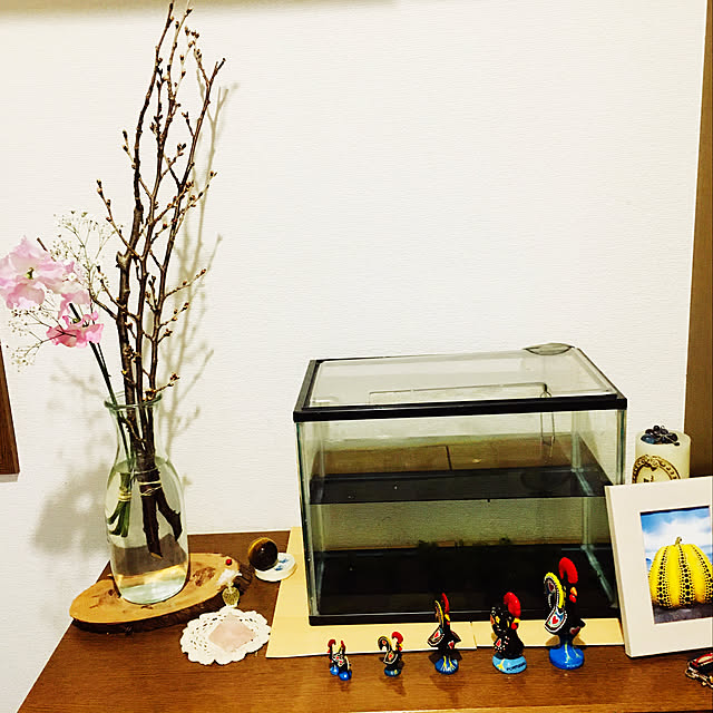 akane_g2002さんの実例写真