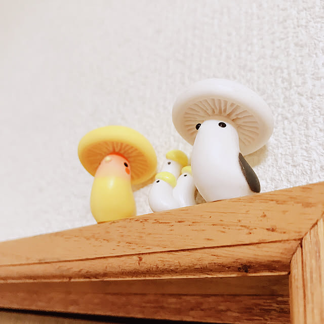 123さんの実例写真