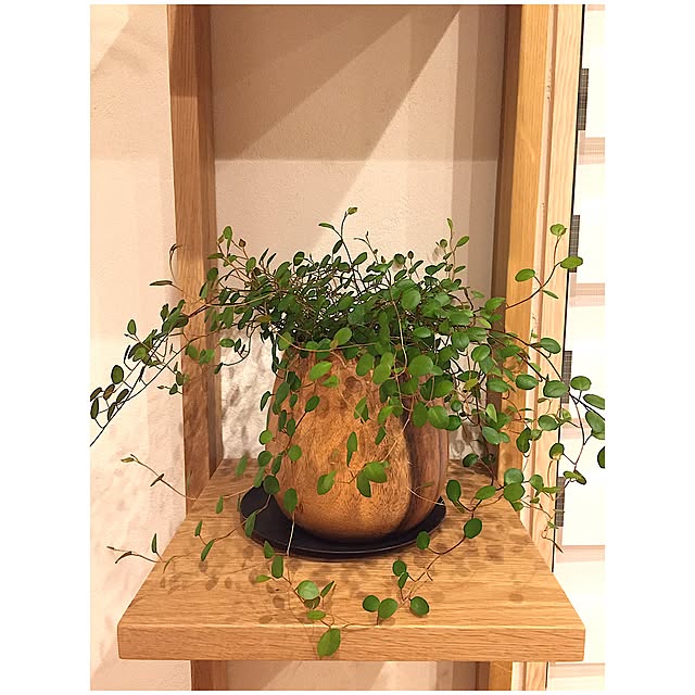 m.r.s.さんの実例写真