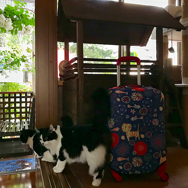 butachanさんの実例写真