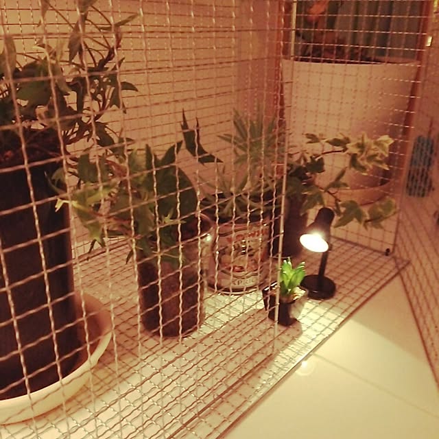 hisayuさんの実例写真