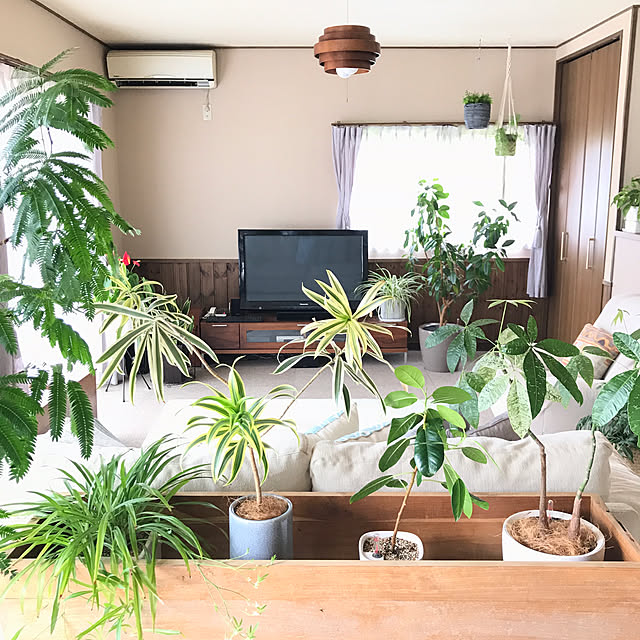 acchanさんの実例写真