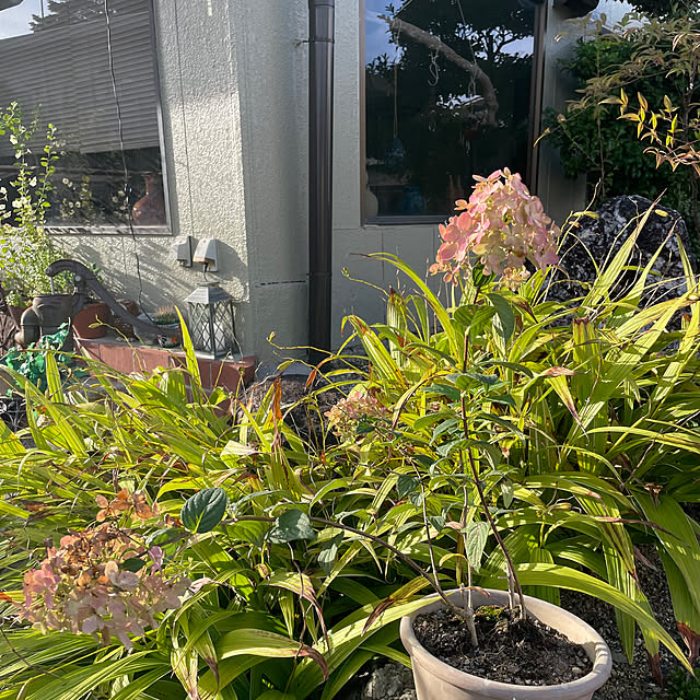 shin0719さんの部屋