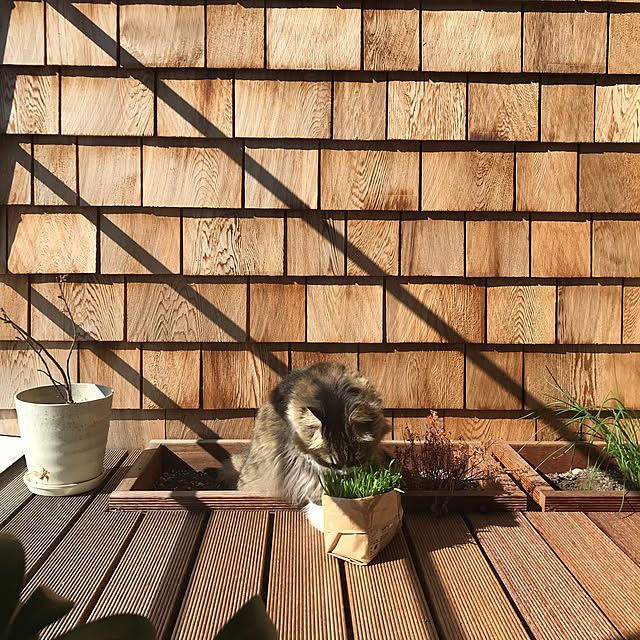 micさんの実例写真