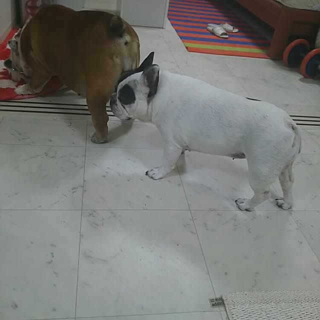 AandPさんの実例写真