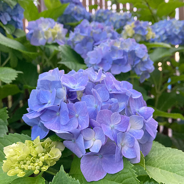 bestwishes.ryokoさんの実例写真