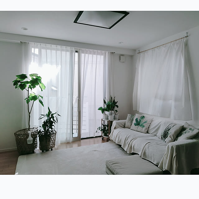 kodaminさんの実例写真