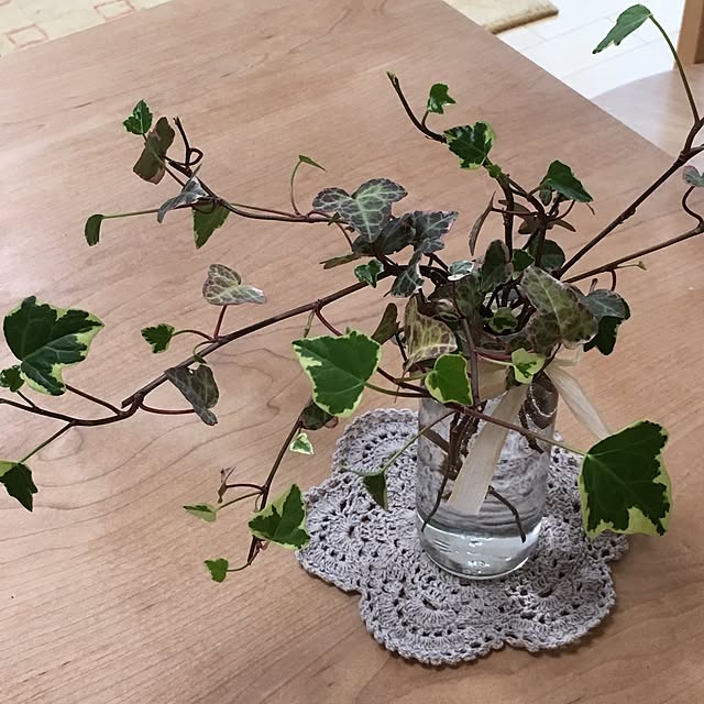 机/観葉植物のインテリア実例 - 2017-07-17 22:57:30