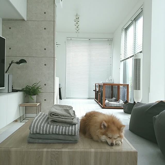 mi-さんの実例写真