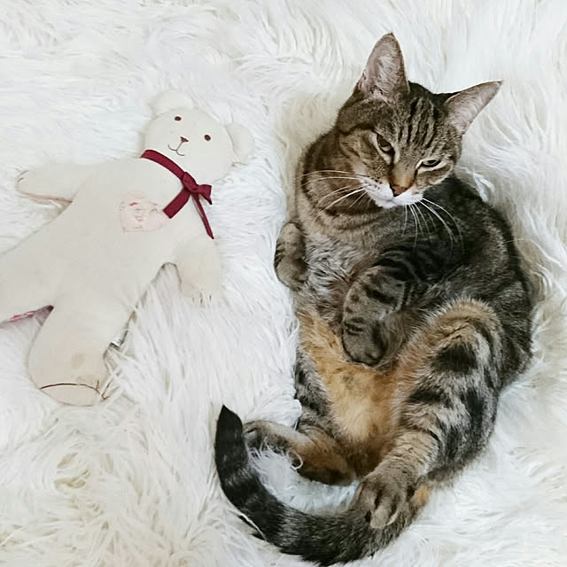 Ayuさんの実例写真
