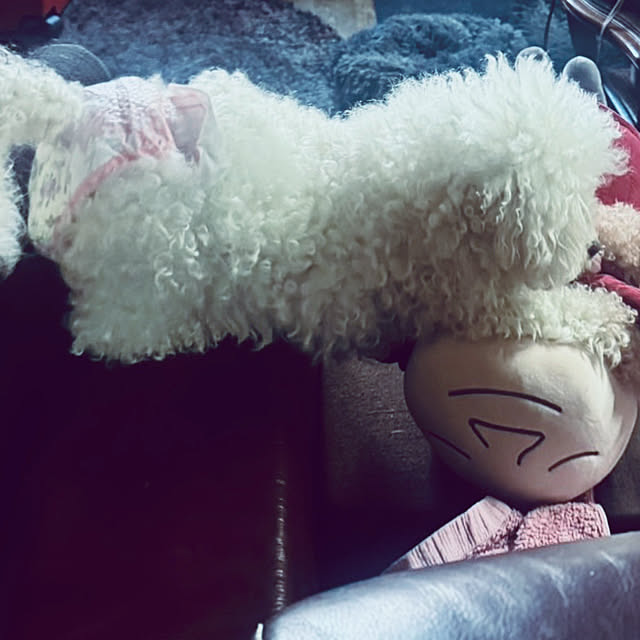 chacoさんの部屋