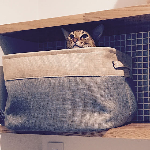 sakineko528さんの実例写真