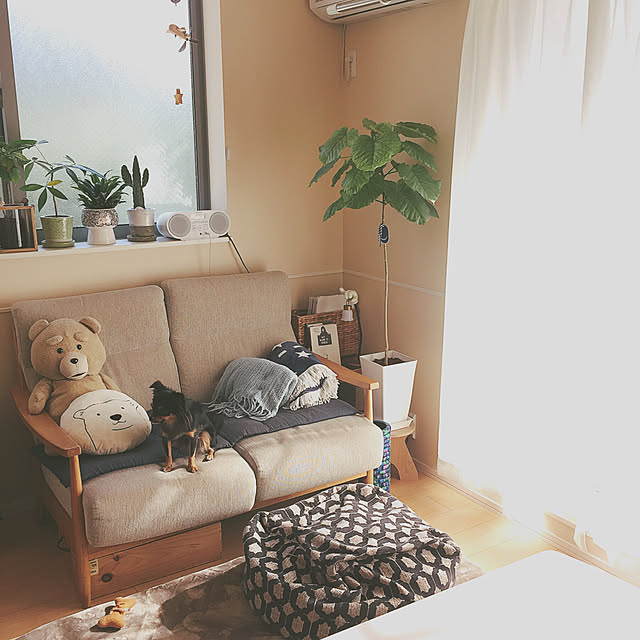 kotahiguさんの実例写真