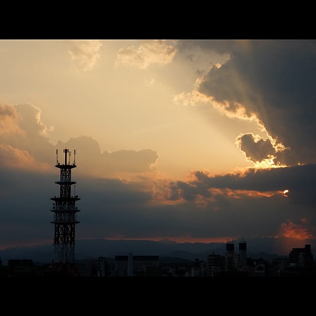 kottonさんの実例写真
