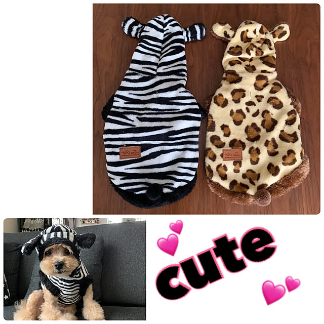 ikt.tamaさんの実例写真