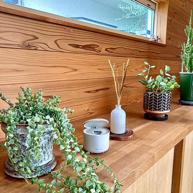 green.green.greenさんの実例写真