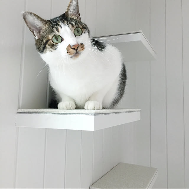yuchiさんの実例写真