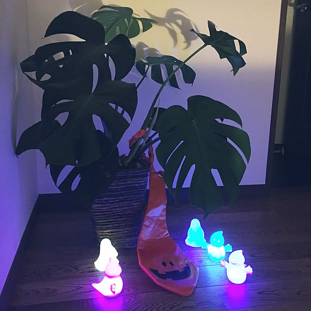 pecoさんの実例写真