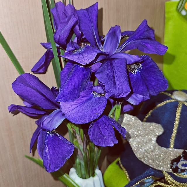 mocomocoさんの部屋